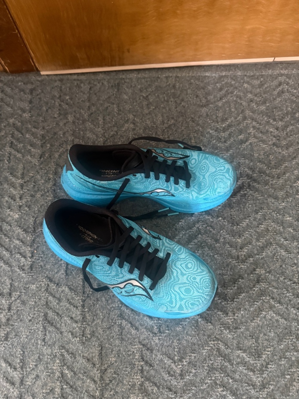 Saucony Women's Endorphin Speed 3